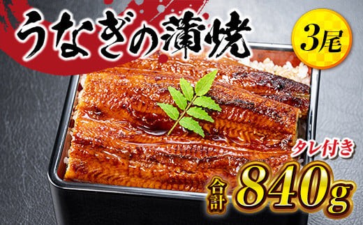 うなぎの蒲焼３尾 タレ付き（２本）　YZ002