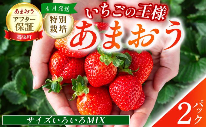 いちご 福岡県産 特別栽培 あまおう サイズいろいろMIX 約570g（約285g×2パック）【4月発送】　農園直送 アフター保証 先行予約 福岡産 送料無料 ケーキ ギフト お祝い 限定 季節限定 UN007 サイズMIX 2パック 4月発送