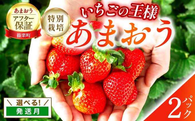 福岡県産　特別栽培　あまおう　サイズいろいろMIX　約570g（約285g×2パック）【1～2月発送】　農園直送　アフター保証 UN005 サイズMIX 2パック 1～2月発送
