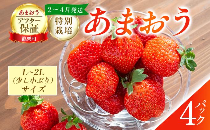 福岡県産 特別栽培 あまおう L~2Lサイズ（少し小ぶりサイズ）約1140g（約285g×4パック）【2～4月発送】 L~2Lサイズ 2~4月発送