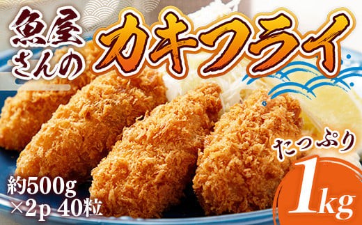 カキフライ 約1000ｇ（約500ｇ×2）40粒 牡蠣フライ かきフライ　RZ002