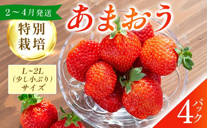 福岡県産 特別栽培 あまおう L~2Lサイズ（少し小ぶりサイズ）約1140g（約285g×4パック）【2～4月発送】 L~2Lサイズ 2~4月発送