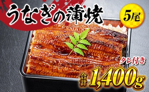 うなぎの蒲焼５尾 タレ付き（４本）　YZ004