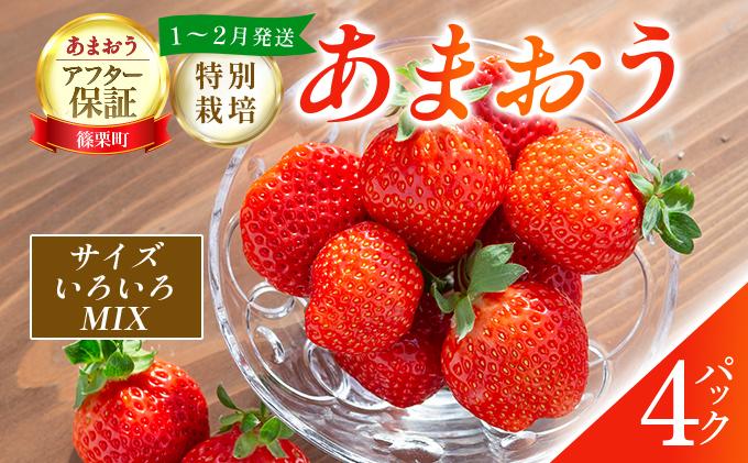 福岡県産 特別栽培 あまおう サイズいろいろMIX 約1140g（約285g×4パック）【1～2月発送】 サイズMIX 1～2月発送