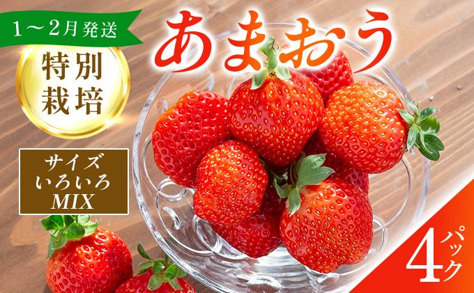 福岡県産 特別栽培 あまおう サイズいろいろMIX 約1140g（約285g×4パック）【1～2月発送】 サイズMIX 1～2月発送