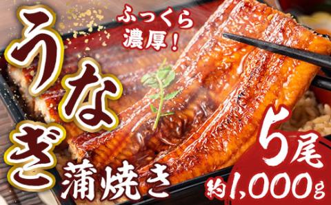 お魚屋さんのうなぎ蒲焼 約1000ｇ（5尾）ウナギ ふっくら肉厚 大容量　RZ001