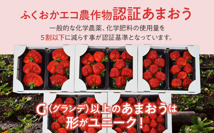 ふくおかエコ農作物認証あまおう G以上 1箱セット あまおう イチゴ 苺 いちご フルーツ 果物 くだもの 福岡県産 お取り寄せグルメ お取り寄せ 福岡 お土産 九州 福岡土産 取り寄せ グルメ 福岡県
