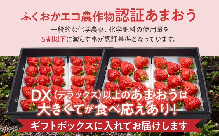 ふくおかエコ農作物認証あまおう ギフト DX等級以上 1箱セット あまおう イチゴ 苺 いちご フルーツ 果物 くだもの 福岡県産 お取り寄せグルメ お取り寄せ 福岡 お土産 九州 福岡土産 取り寄せ グルメ 福岡県