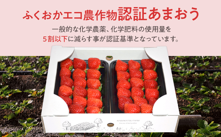 ふくおかエコ農作物認証あまおう M～Lサイズ 2箱セット あまおう イチゴ 苺 いちご フルーツ 果物 くだもの 福岡県産 お取り寄せグルメ お取り寄せ 福岡 お土産 九州 福岡土産 取り寄せ グルメ 福岡県