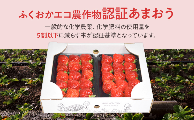 ふくおかエコ農作物認証あまおう 2Lサイズ 2箱セット あまおう イチゴ 苺 いちご フルーツ 果物 くだもの 福岡県産 お取り寄せグルメ お取り寄せ 福岡 お土産 九州 福岡土産 取り寄せ グルメ 福岡県