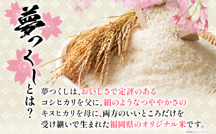 【無洗米】令和7年産 金のめし丸 夢つくし 精米 5kg 米 無洗米 夢つくし 森光商店 老舗 福岡 お米 ごはん ご飯 お弁当 おにぎり 金のめし丸県産米 福岡ブランド米 めし丸 志免 志免町 福岡県