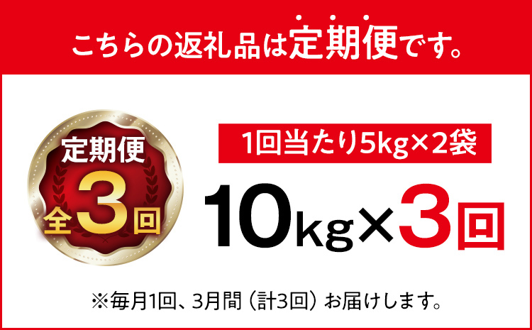 令和7年産 金のめし丸 元気つくし 合計30kg 10kg (5kg×2袋) ×3回 定期便 白米 精米 お米 ご飯 米 精米 お取り寄せ 福岡 お土産 九州 福岡県産 グルメ 福岡県