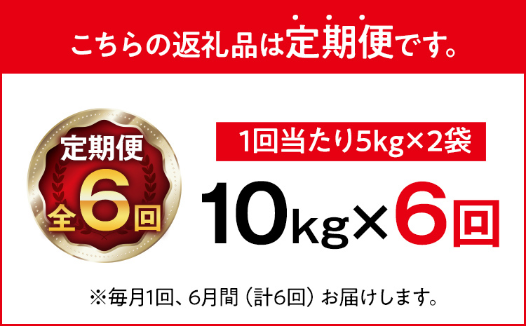 令和7年産 金のめし丸 元気つくし 合計60kg 10kg (5kg×2袋) ×6回 定期便 白米 精米 お米 ご飯 米 精米 お取り寄せ 福岡 お土産 九州 福岡県産 グルメ 福岡県