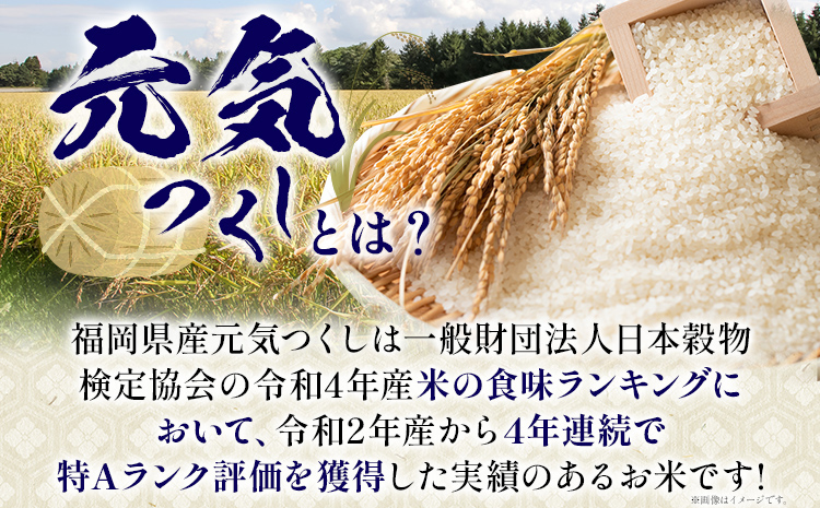 令和7年産 白米 金のめし丸 元気つくし 3kg 福岡 お米 米 ごはん ご飯 お弁当 おにぎり 金のめし丸県産米 福岡ブランド米 めし丸 ライス rice 飯