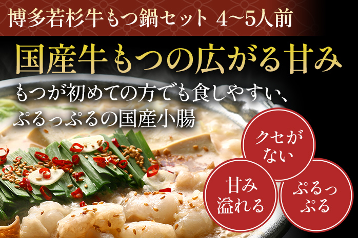 博多若杉 牛もつ鍋(醤油味) 4〜5人前 + 博多水炊き 4〜5人前 贅沢セット 鍋 牛もつ 小腸 ちゃんぽん コラーゲン スープ 国産 鳥もも肉 つくね 老舗 高級 食品 食べ物 グルメ 博多 九州 送料無料