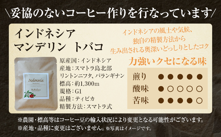 コーヒー ドリップバッグ お試し 無糖 1500円ポッキリ インドネシア メール便（ポスト投函）