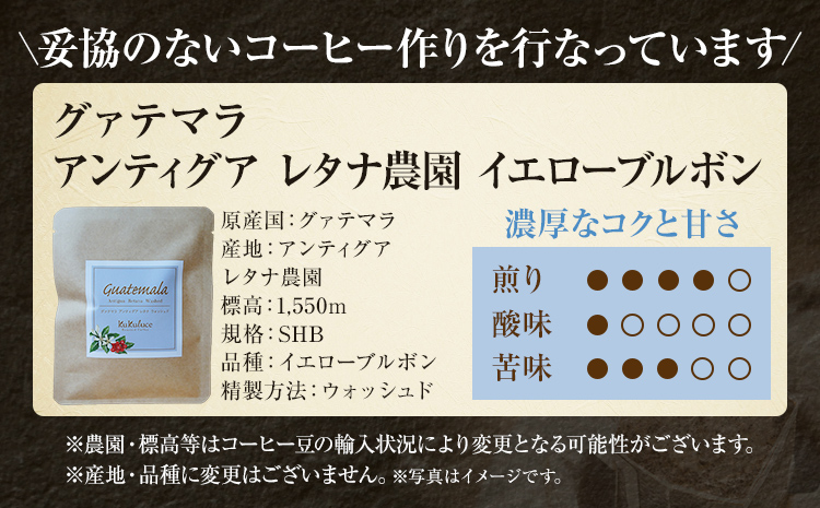 コーヒー ドリップバッグ お試し 無糖 1500円ポッキリ グァテマラ メール便（ポスト投函）