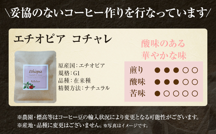 コーヒー ドリップバッグ お試し 無糖 1500円ポッキリ エチオピア コチャレ メール便（ポスト投函）