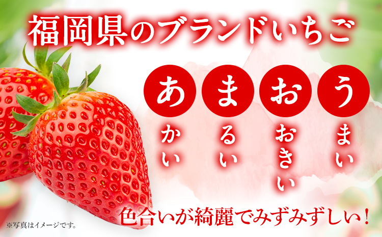あまおう 産地直送 約250g×2パック 福岡県産 いちご 朝採れ ふくおかエコ農産物認証 苺 フルーツ イチゴ 果物 くだもの ストロベリー ichigo ケーキ スイーツ 【3月〜4月末頃発送予定】※北海道・沖縄・離島は配送不可