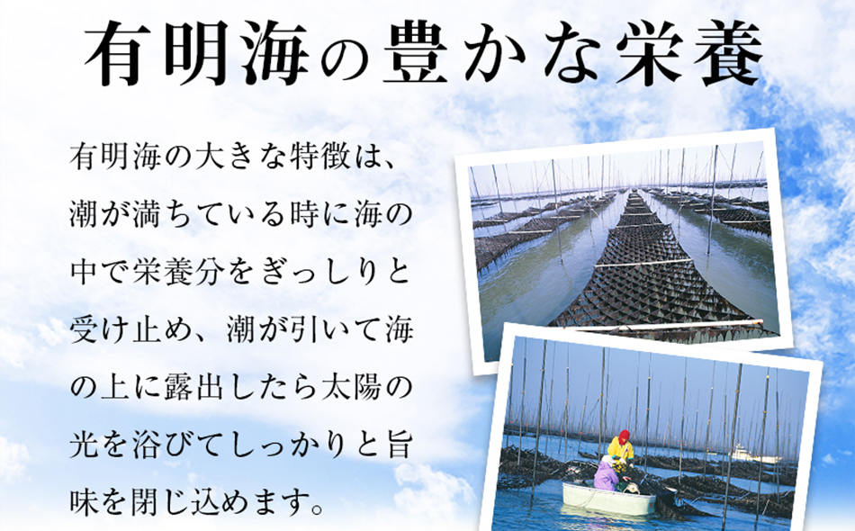 有明海産一番摘み 大丸ボトル 味海苔 10切80枚 4本セット 福岡有明のり 海苔 あじのり 取り寄せ ごはんのおとも 九州 ご当地グルメ 福岡土産