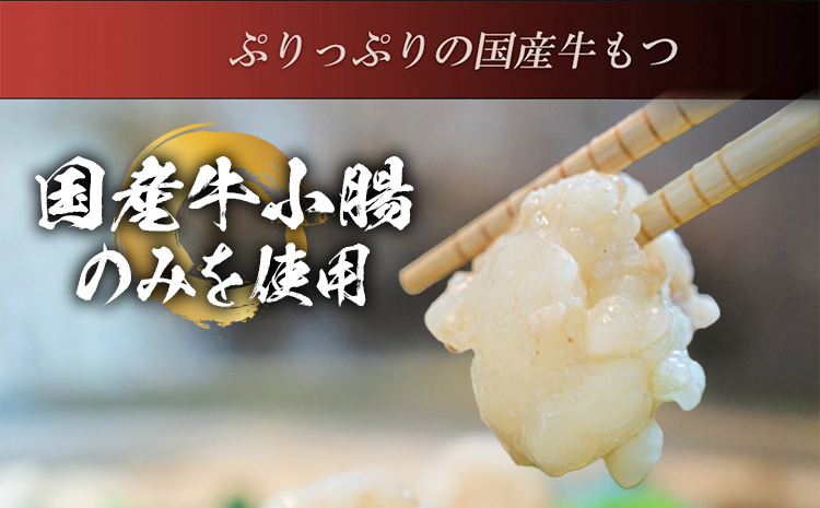 伊藤家 博多あごだし入り もつ鍋セット (2～3人前) もつ鍋 モツ鍋 鍋セット 醤油味 国産牛 小腸のみ もつ ちゃんぽん麺 あごだし ホルモン スープ しょうゆ 九州 本場 博多 お取り寄せ グルメ