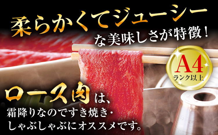 【博多和牛】 A4ランク以上 特選 ロース スライス すき焼き しゃぶしゃぶ用 牛肉 肉 和牛 ロース肉 500g 福岡 ブランド牛 国産牛 お取り寄せグルメ 薄切り 鍋 すきやき お肉 精肉 スライス肉