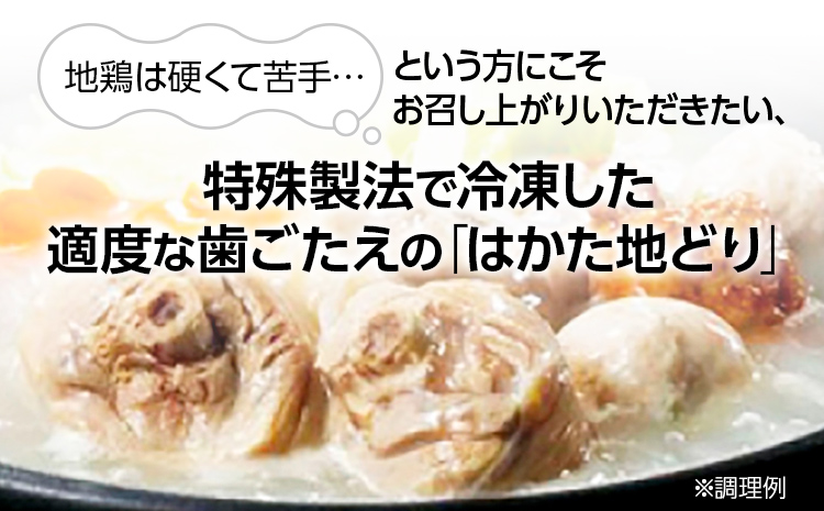 はかた地どり 3種 食べくらべ 約3kg セット (もも・むね・ぶつ切り) お取り寄せグルメ お取り寄せ 福岡 お土産 九州 ご当地グルメ 福岡土産 取り寄せ 福岡県 食品