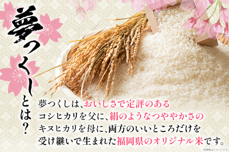 おいしく炊ける玄米ごはん夢つくし1.5kg 夢つくし 森光商店 老舗 福岡 お米 米 ごはん ご飯 お弁当 おにぎり 福岡ブランド米 めし丸 志免 志免町 福岡県