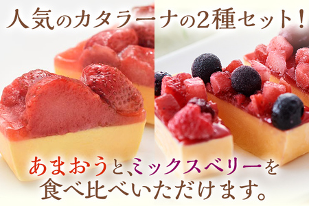 あまおう・ミックスベリーカタラーナセット スイーツ カタラーナ 2種 あまおうカタラーナ 285g×1 ミックスベリーカタラーナ 260g×1 冷凍 西通りプリン デザート 洋菓子 おやつ お菓子 アイスデザート