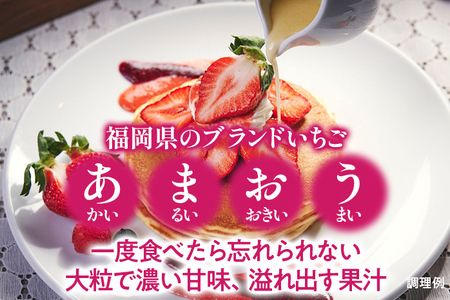 福岡産 あまおう  2パック 合計約500～540g コンデンスミルク 練乳 いちご 苺 果物 フルーツ 九州産 福岡県産 冷蔵 送料無料