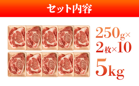 訳あり！博多和牛サーロインステーキセット　5kg（250g 2枚入り×10p） お取り寄せグルメ お取り寄せ 福岡 お土産 九州 福岡土産 取り寄せ グルメ 福岡県