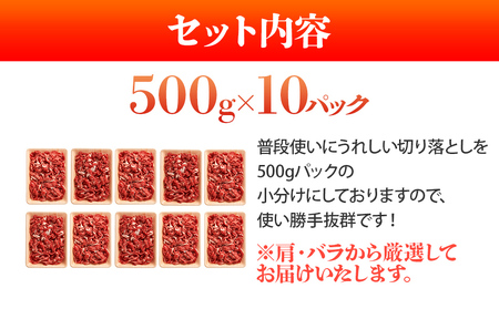 訳あり！博多和牛切り落とし　5kg(500g×10p） お取り寄せグルメ お取り寄せ 福岡 お土産 九州 福岡土産 取り寄せ グルメ 福岡県