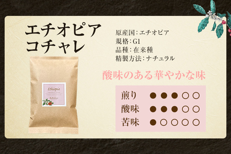コーヒー豆 エチオピア イルガチェフ コチャレ ナチュラル 100g お試し 自家焙煎 ドリンク 飲料