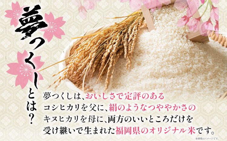 定期便 金のめし丸 夢つくし 合計9kg 3kg×3回 白米 精米 お米 ご飯 米 精米 お取り寄せ 福岡 お土産 九州 福岡県産 グルメ 福岡県