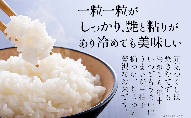【3回定期便】 令和7年産 白米 金のめし丸 元気つくし 5kg 定期便 3ヵ月 福岡 お米 米 ごはん ご飯 お弁当 おにぎり 金のめし丸県産米 福岡ブランド米 めし丸 ライス rice 飯