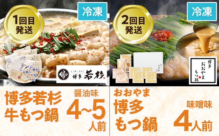 定期便 もつ鍋 グルメ 定期便 約4人前 通年 6回 6ヶ月 食べ比べ 頒布会 醤油 味噌 若杉 もつ鍋 国産 牛 小腸 定期発送 冷凍 グルメ 福岡グルメ 牛肉 牛もつ鍋 鍋 鍋セット みそ スープ付き ホルモン もつ 冬 お取り寄せ