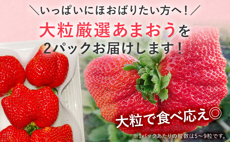 【2026年発送先行予約】厳選大粒あまおう(約250～270g×2パック) いちご フルーツ 果物 あまおう 苺 イチゴ ギフト 大粒 福岡【発送時期2026年2月上旬～2026年4月上旬】