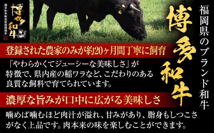 【博多和牛】 A4ランク以上 特選 ヒレ ステーキ 400g 牛肉 肉 ヒレ肉 ステーキ 焼肉 和牛 精肉 福岡 ブランド牛 国産牛 牛ヒレステーキ 赤身 高級 希少部位 フィレ お取り寄せグルメ