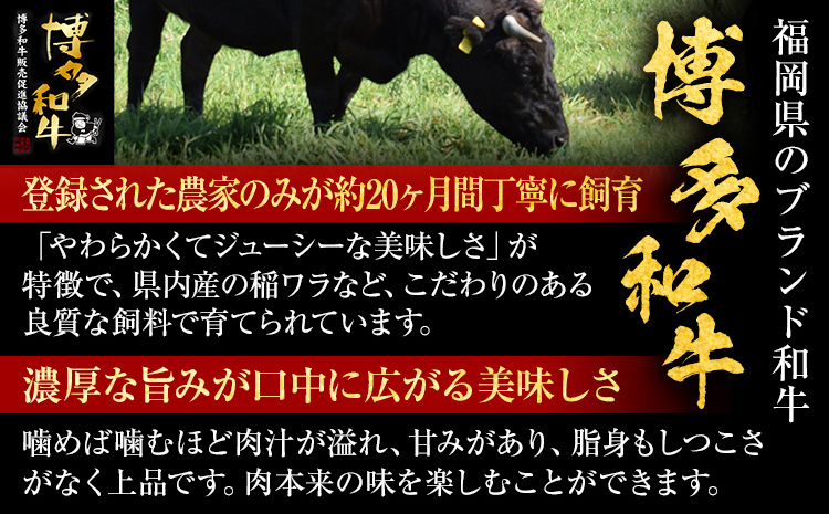 【博多和牛】 A4ランク以上 特選 ロース スライス すき焼き しゃぶしゃぶ用 牛肉 肉 和牛 ロース肉 500g 福岡 ブランド牛 国産牛 お取り寄せグルメ 薄切り 鍋 すきやき お肉 精肉 スライス肉