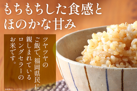 おいしく炊ける玄米ごはん夢つくし1.5kg 夢つくし 森光商店 老舗 福岡 お米 米 ごはん ご飯 お弁当 おにぎり 福岡ブランド米 めし丸 志免 志免町 福岡県