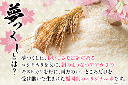 【無洗米】 金のめし丸 夢つくし 合計30kg 10kg (5kg×2袋) ×3回 定期便 白米 精米 お米 ご飯 米 精米 お取り寄せ 福岡 お土産 九州 福岡県産 グルメ 福岡県
