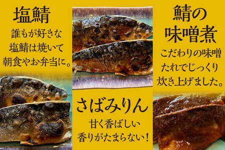 美味しい鯖をたくさん食べたい 鯖 さば サバ 惣菜 塩サバ みりん干し 鯖味噌 3種セット 塩さば二枚 さばのみりん干し二枚 鯖味噌煮二枚 食べ比べ おかず 魚 お酒のアテ おつまみ 朝食 お弁当