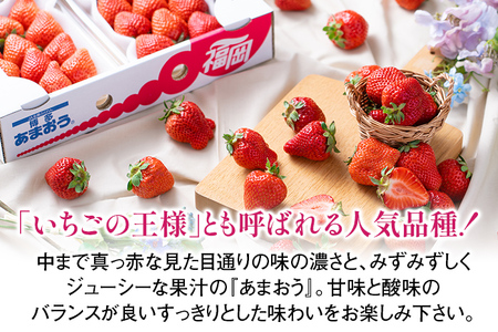 福岡産【春】あまおう 6パック 合計約1500g～1620g 約1.5kg （1パックあたり約250g～約270g） いちご 苺 果物 フルーツ 九州産 福岡県産 冷蔵 送料無料