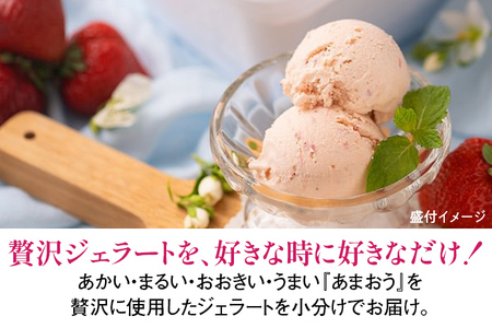 福岡産 あまおうジェラート 100ml×6個 あまおう イチゴ いちご ジェラート スイーツ 果物 フルーツ アイス 送料無料 高級 お返し プレゼント 御見舞 お取り寄せ ストロベリー 苺