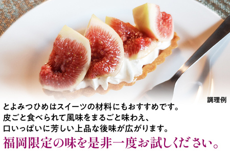 福岡県産ブランド無花果「とよみつひめ」(約300g×4パック)