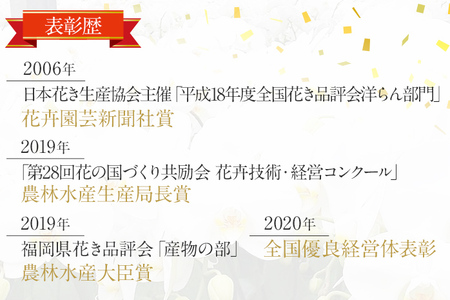 胡蝶蘭 切り花 5本 南里園芸 こちょうらん お祝い プレゼント 母の日 内祝い ギフト 花ギフト 送料 生花 花束 贈り物 送料無料
