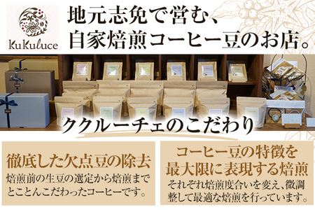 コーヒー豆 インドネシア マンデリン トバコ 100g お試し 自家焙煎 ドリンク 飲料