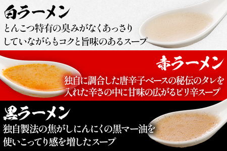 とんこつラーメン 博多三氣 食べ比べセット（3種各1食）豚骨 トンコツ ラーメン らーめん 麺 スープ ラー麦100% 赤 黒 白 具材なし 冷凍 博多 博多らーめん お取り寄せ グルメ ご当地グルメ 福岡 三氣 バリカタ