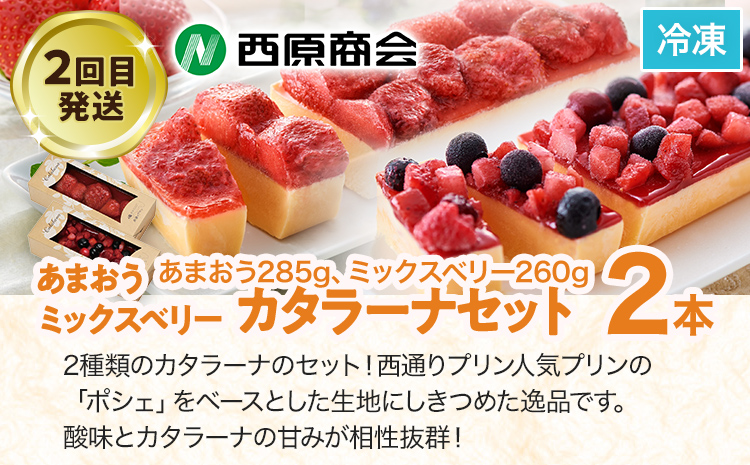 スイーツ定期便 通年 3回 3ヶ月 定期便 志免町 堪能 チーズケーキ カタラーナ プリン あまおう ベリー スフレチーズケーキ 冷凍 ブラックダイヤ おやつ お取り寄せ おいしい デザート 洋菓子 洋生菓子