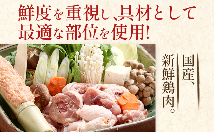 博多若杉 博多水炊き 4〜5人前 セット コラーゲン スープ 老舗 高級 国産 鳥もも肉 つくね スープ ポン酢 柚子胡椒 食品 食べ物 グルメ 博多 九州 送料無料